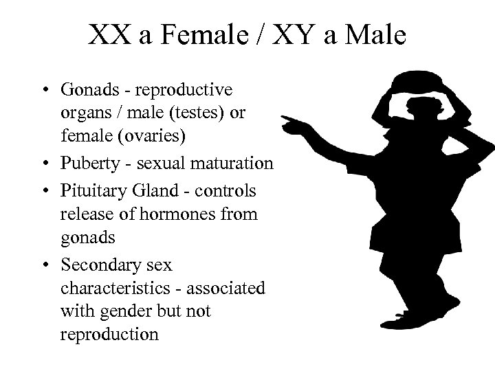 XX a Female / XY a Male • Gonads - reproductive organs / male