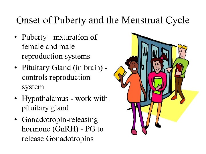 Onset of Puberty and the Menstrual Cycle • Puberty - maturation of female and