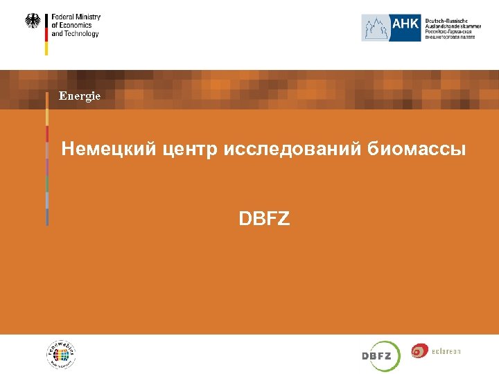Energie Немецкий центр исследований биомассы DBFZ 