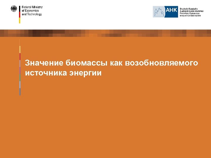 Значение биомассы как возобновляемого источника энергии 