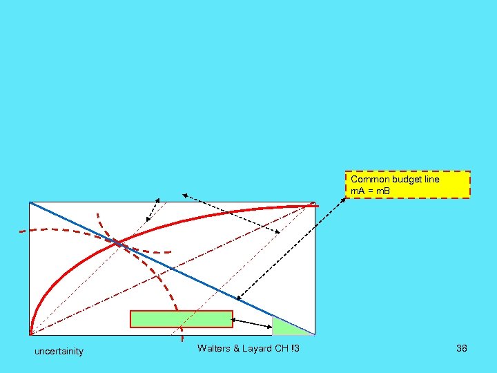 Common budget line m. A = m. B uncertainity Walters & Layard CH !3