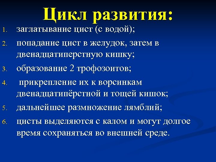 Цикл развития: 1. 2. 3. 4. 5. 6. заглатывание цист (с водой); попадание цист