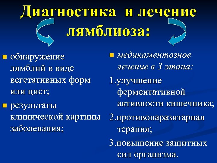 Диагностика и лечение лямблиоза: n медикаментозное обнаружение лечение в 3 этапа: лямблий в виде