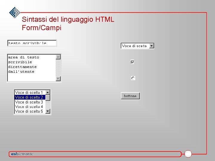 Sintassi del linguaggio HTML Form/Campi 