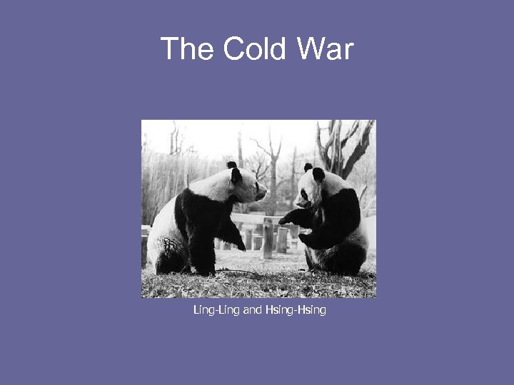 The Cold War Ling-Ling and Hsing-Hsing 