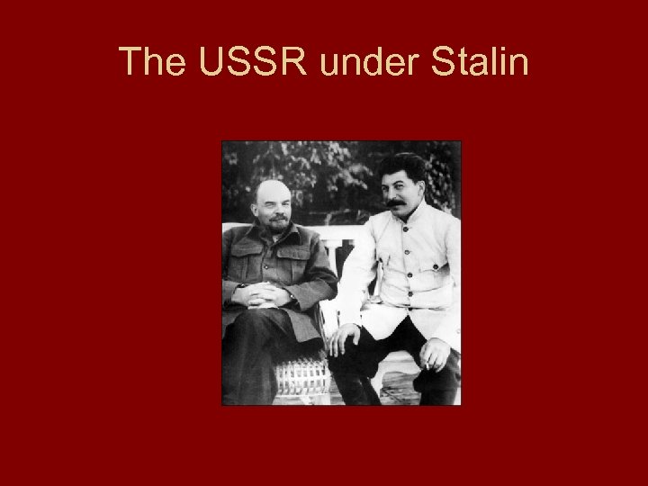 The USSR under Stalin 