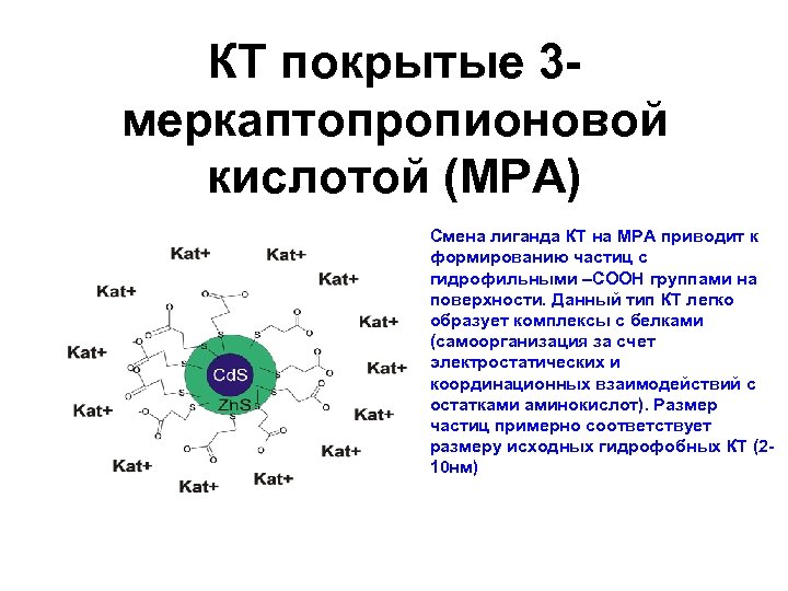КТ покрытые 3 меркаптопропионовой кислотой (МРА) Смена лиганда КТ на MPA приводит к формированию