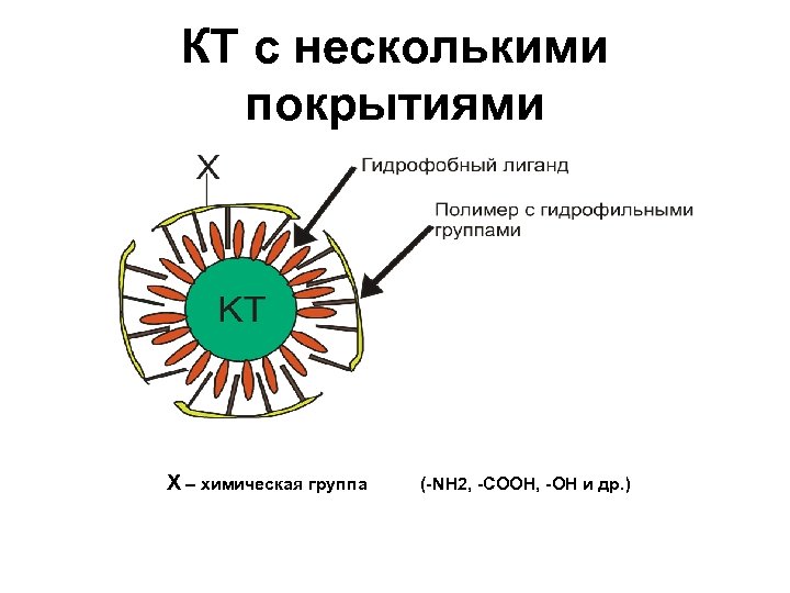 КТ с несколькими покрытиями X – химическая группа (-NH 2, -COOH, -OH и др.