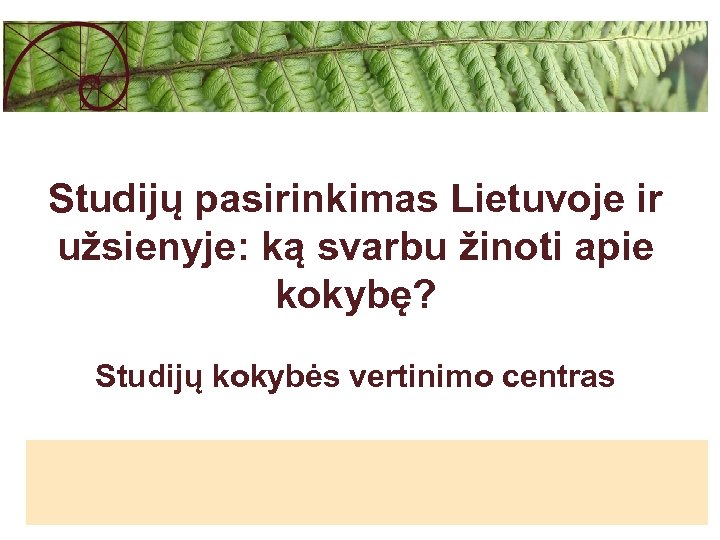 Studijų pasirinkimas Lietuvoje ir užsienyje: ką svarbu žinoti apie kokybę? Studijų kokybės vertinimo centras