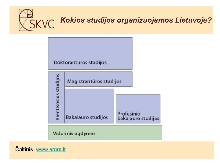 Kokios studijos organizuojamos Lietuvoje? Šaltinis: www. smm. lt 