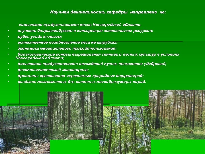 Особенности воспроизводства лесов. Повышение продуктивности лесов. Воспроизводство и повышение продуктивности лесов. Естественное возобновление леса. Методы возобновления леса.