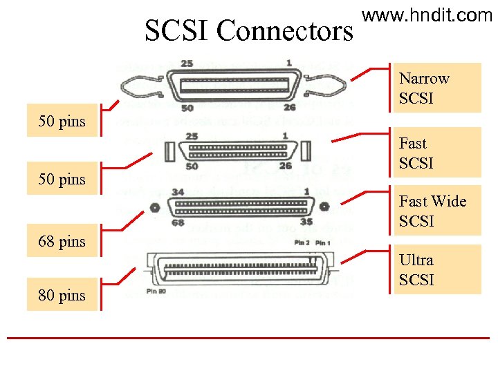 SCSI Connectors www. hndit. com Narrow SCSI 50 pins Fast SCSI Fast Wide SCSI