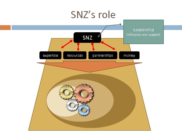 SNZ’s role Leadership (influence and support) SNZ expertise resources partnerships money 