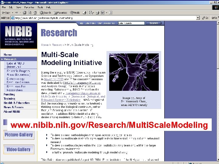 www. nibib. nih. gov/Research/Multi. Scale. Modeling National Institute of Biomedical Imaging & Bioengineering, NIH,