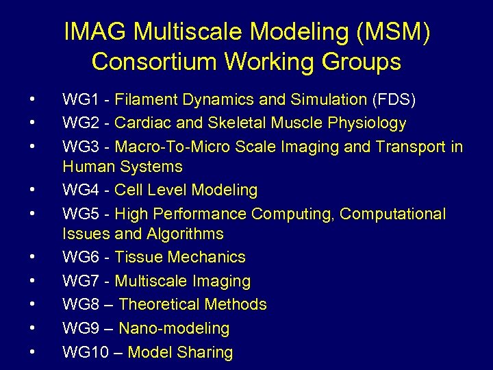 IMAG Multiscale Modeling (MSM) Consortium Working Groups • • • WG 1 - Filament