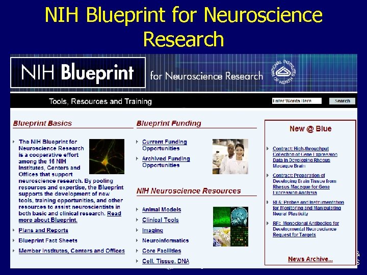 NIH Blueprint for Neuroscience Research National Institute of Biomedical Imaging & Bioengineering, NIH, DHHS