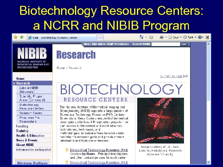 Biotechnology Resource Centers: a NCRR and NIBIB Program 