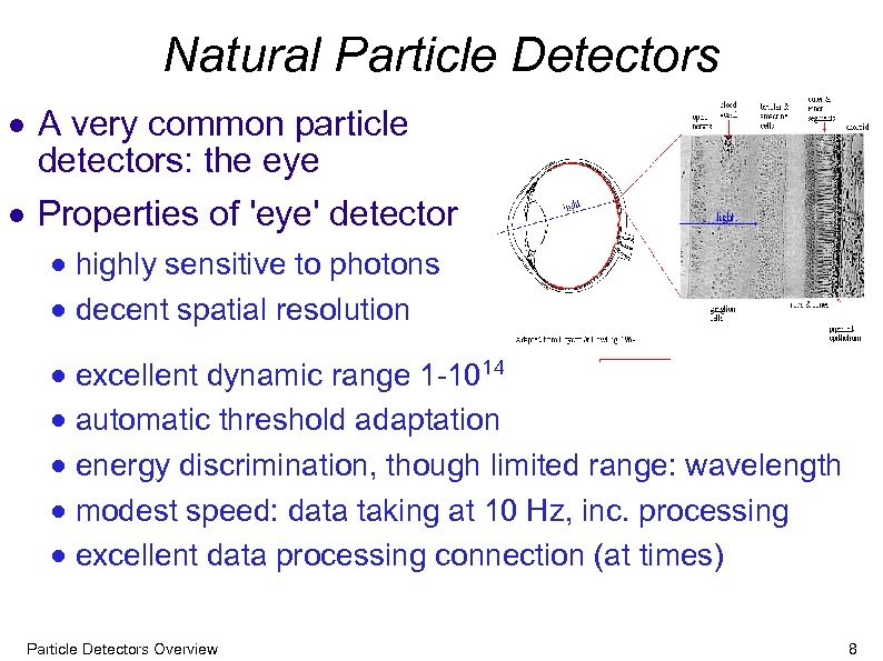 Natural Particle Detectors A very common particle detectors: the eye Properties of 'eye' detector