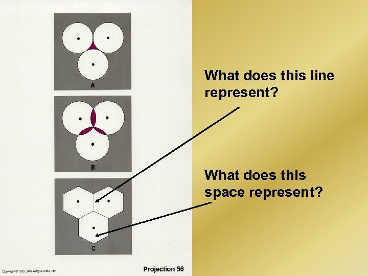 What does this line represent? What does this space represent? 