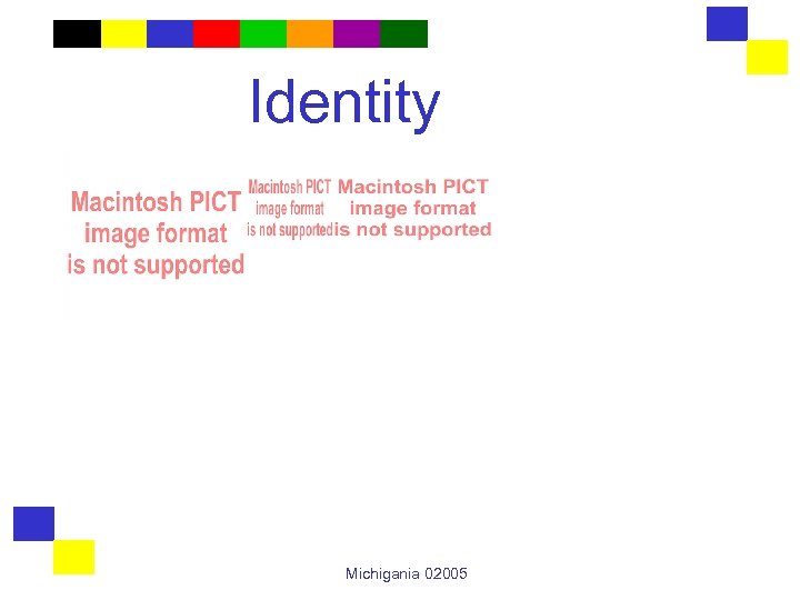 Identity Michigania 02005 