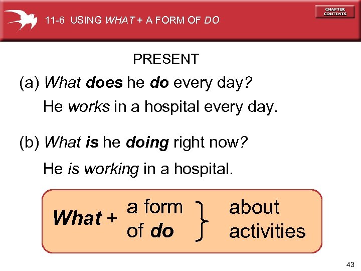 11 -6 USING WHAT + A FORM OF DO PRESENT (a) What does he