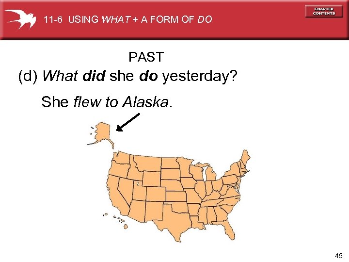 11 -6 USING WHAT + A FORM OF DO PAST (d) What did she