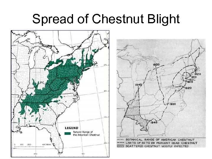 Spread of Chestnut Blight 