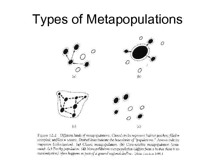 Types of Metapopulations 