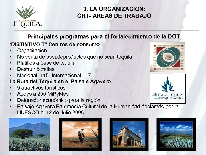 3. LA ORGANIZACIÓN: CRT- AREAS DE TRABAJO Principales programas para el fortalecimiento de la