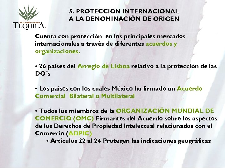 5. PROTECCION INTERNACIONAL A LA DENOMINACIÓN DE ORIGEN Cuenta con protección en los principales