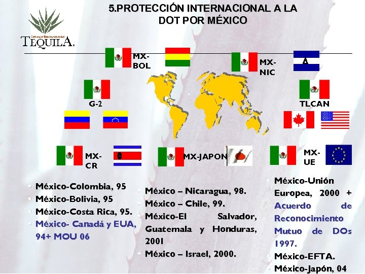 5. PROTECCIÓN INTERNACIONAL A LA DOT POR MÉXICO MXBOL MXNIC G-2 TLCAN MXCR •