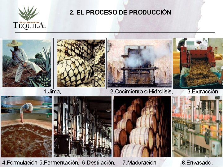 2. EL PROCESO DE PRODUCCIÓN 1. Jima, 2. Cocimiento o Hidrólisis, 3. Extracción 5