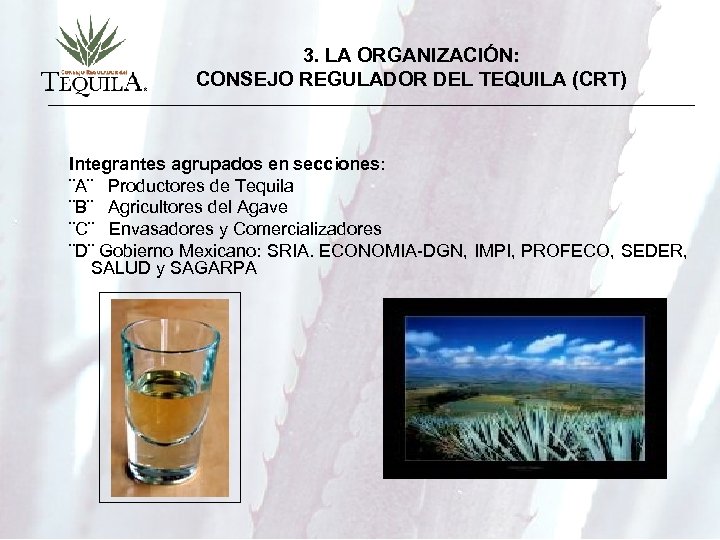 3. LA ORGANIZACIÓN: CONSEJO REGULADOR DEL TEQUILA (CRT) Integrantes agrupados en secciones: ¨A¨ Productores