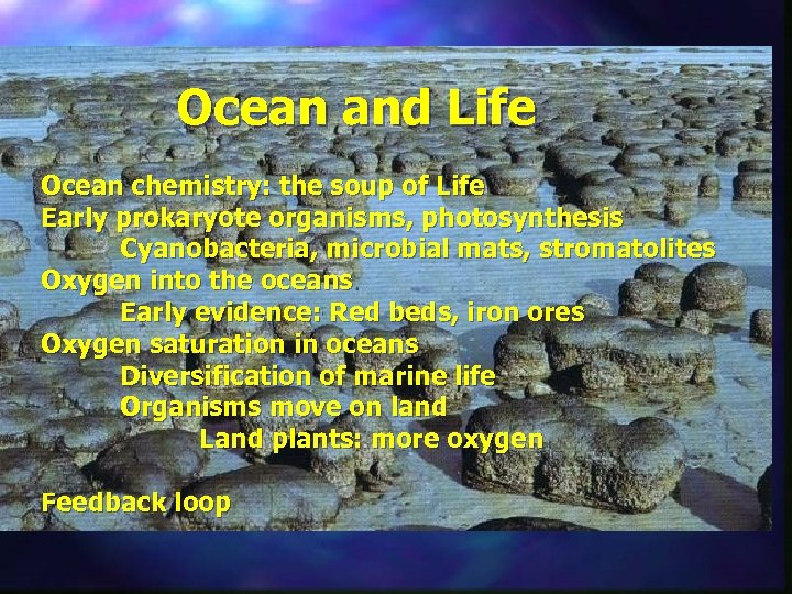 Ocean and Life Ocean chemistry: the soup of Life Early prokaryote organisms, photosynthesis Cyanobacteria,