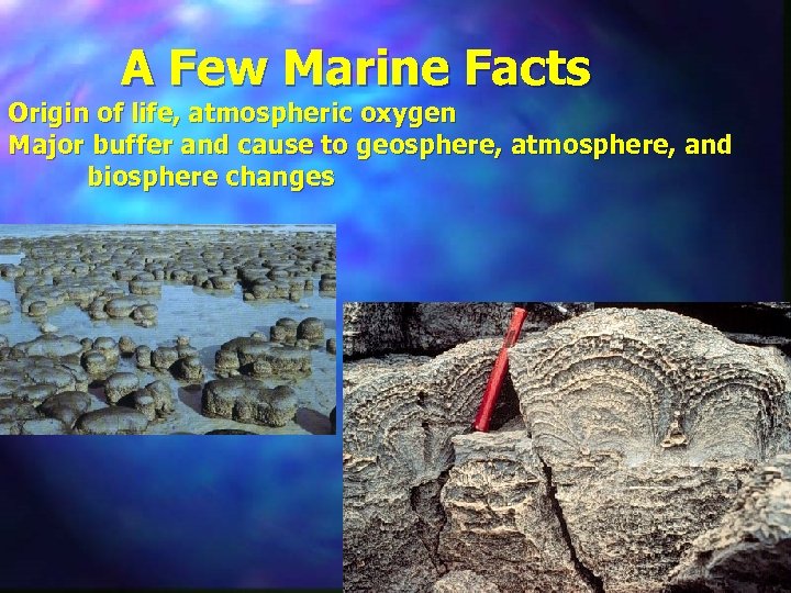 A Few Marine Facts Origin of life, atmospheric oxygen Major buffer and cause to