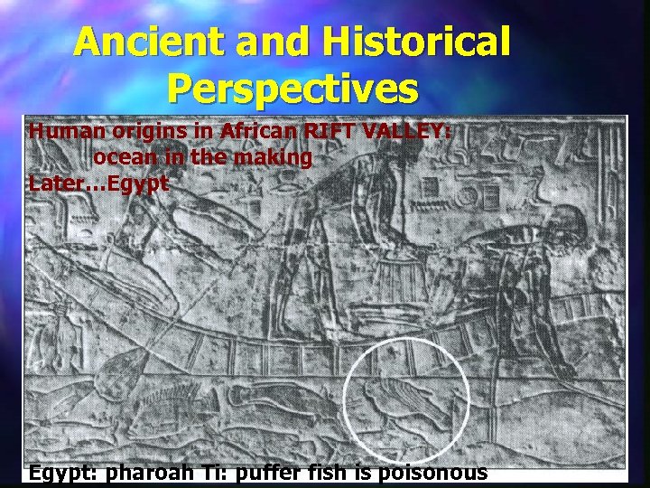 Ancient and Historical Perspectives Human origins in African RIFT VALLEY: ocean in the making