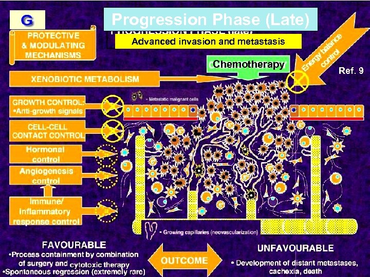 Progression Phase (Late) Advanced invasion and metastasis Chemotherapy Ref. 9 