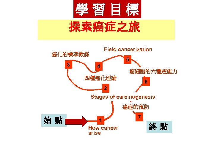 學習目標 探索癌症之旅 Field cancerization 癌化的標準教條 3 5 4 癌細胞的六種超能力 四種癌化理論 6 2 Stages of
