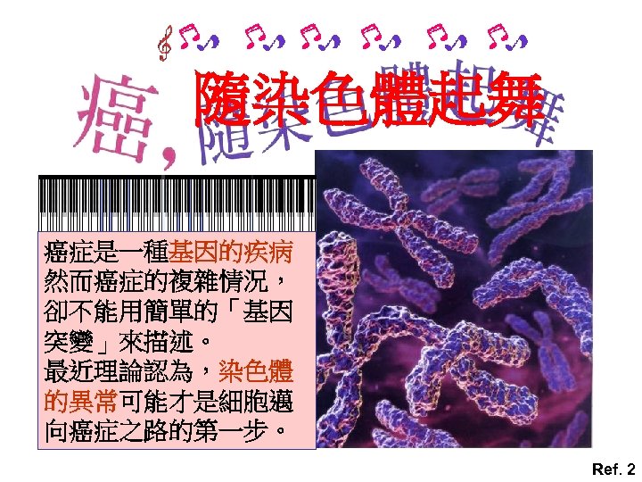 隨染色體起舞 癌症是一種基因的疾病 然而癌症的複雜情況， 卻不能用簡單的「基因 突變」來描述。 最近理論認為，染色體 的異常可能才是細胞邁 向癌症之路的第一步。 Ref. 2 