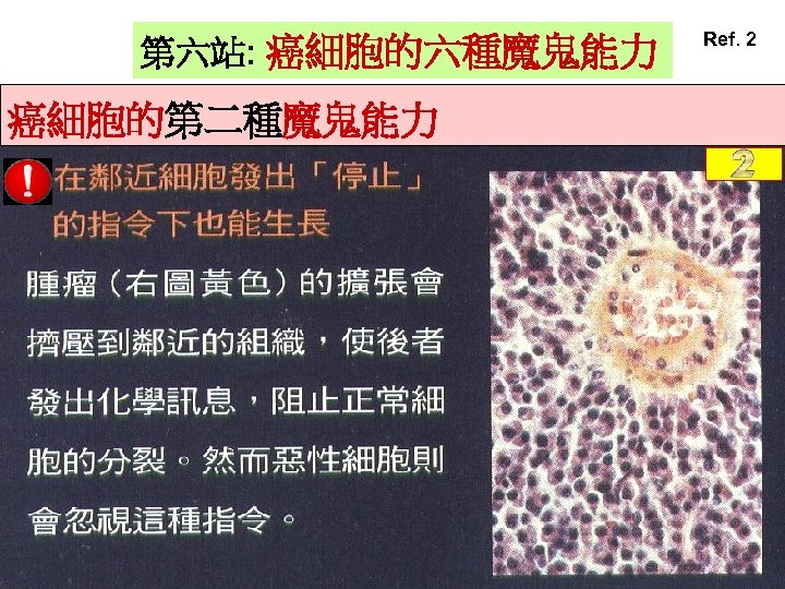 第六站: 癌細胞的六種魔鬼能力 癌細胞的第二種魔鬼能力 Ref. 2 