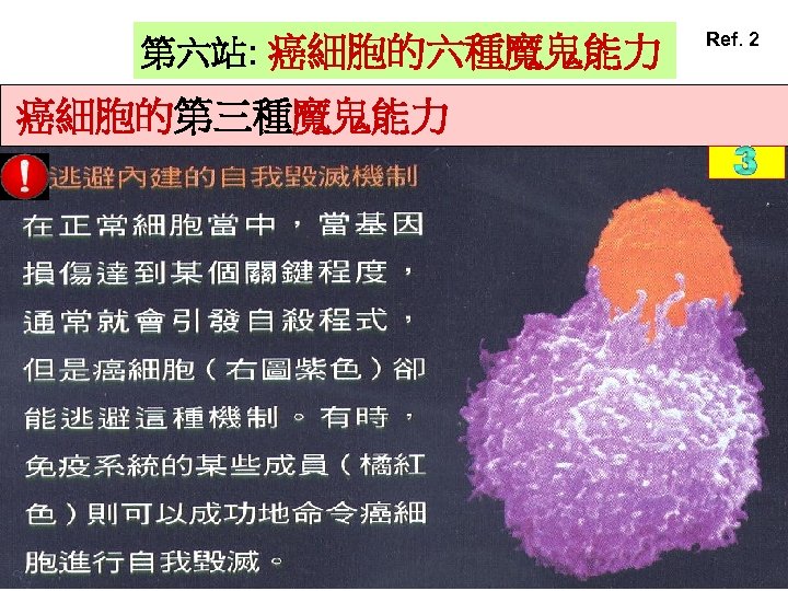 第六站: 癌細胞的六種魔鬼能力 癌細胞的第三種魔鬼能力 Ref. 2 