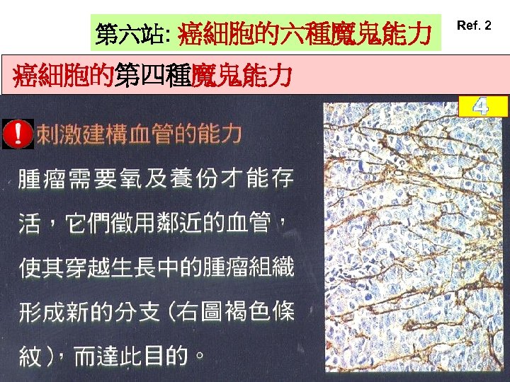 第六站: 癌細胞的六種魔鬼能力 癌細胞的第四種魔鬼能力 Ref. 2 