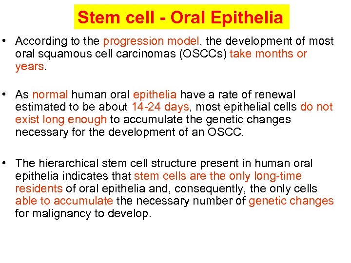 Stem cell - Oral Epithelia • According to the progression model, the development of