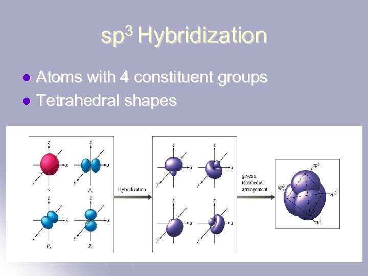 sp 3 Hybridization Atoms with 4 constituent groups l Tetrahedral shapes l 