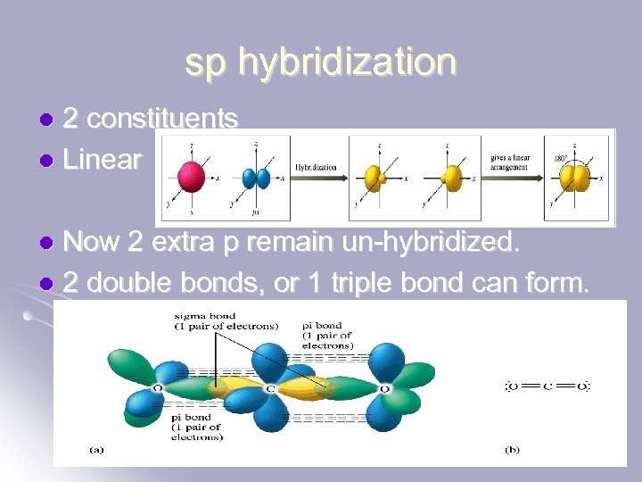 sp hybridization 2 constituents l Linear l Now 2 extra p remain un-hybridized. l