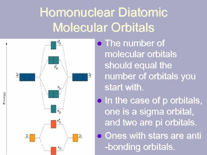 Homonuclear Diatomic Molecular Orbitals The number of molecular orbitals should equal the number of