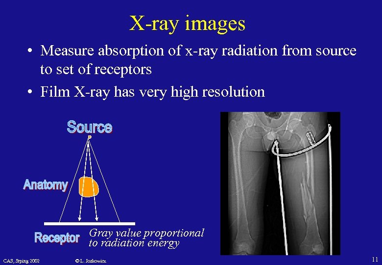 X-ray images • Measure absorption of x-ray radiation from source to set of receptors