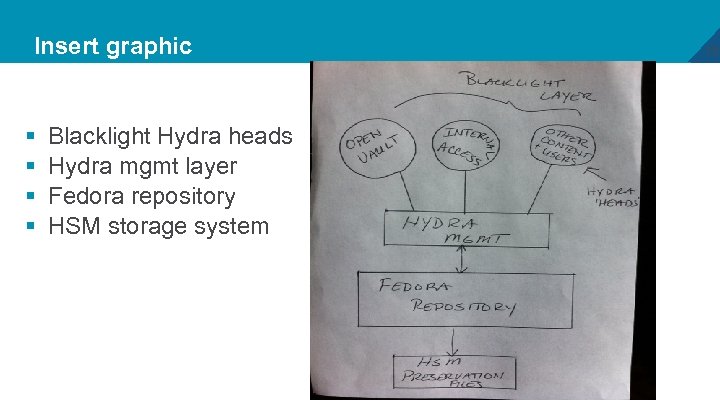 Insert graphic § § Blacklight Hydra heads Hydra mgmt layer Fedora repository HSM storage