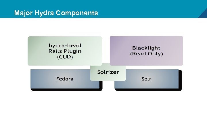 Major Hydra Components 