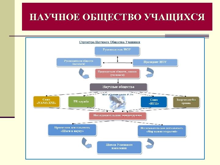 План работы научного общества учащихся